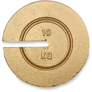 Weight 2P CI Slot 10kg CL6 No Cert TR
