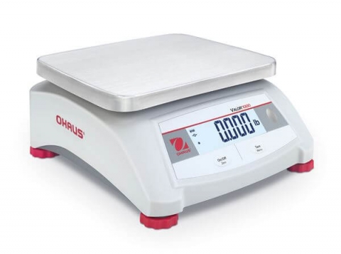 Valor 1000 Compact Bench Scales