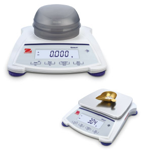 SJX Legal for Trade Scales